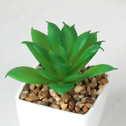 Цветочная композиция Кактус / WER-19 /уп 12/192/ микс - Галеонтрейд фото 17