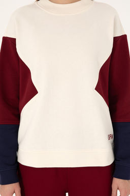 Женский кремовый свитшот Неожиданная скидка в корзине - U.s. polo assn фото 6