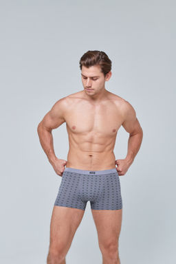 Трусы мужские боксеры Rogers 83134 модал, эластан размеры M, L, XL, 2XL  фото 11