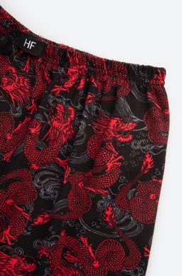 Мужские трусы с принтом дракон Happy Fox  фото 6