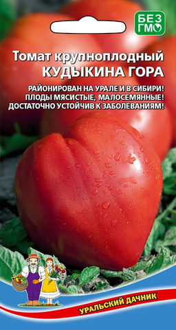 Томат КУДЫКИНА ГОРА Районирован на Урале и в Сибири! Плоды мясистые, малосемянные! Достаточно устойчив к заболеваниям!
