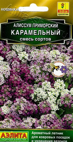 Алиссум Карамельный (смесь сортов) 0,05г (Аэлита)
