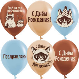 Воздушные шары латексные 12" "С Днем Рождения! (Сердитая кошка)" 2 ст., МИКС, набор 25 шт.