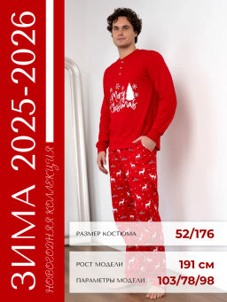 Комплект новогодняя пижама из 100% хлопка BINITA