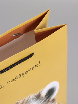 Пакет подарочный ламинированный «Ух! Какой подарочек!», 26×12×32 см