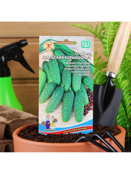 Набор семян Огурец "Уральский корнишон" F1, раннеспелый, партенокарпический, 5 шт.