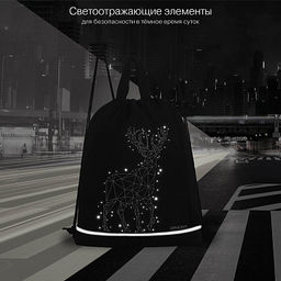 OM-62-116 Мешок для обуви - Grizzly фото 24