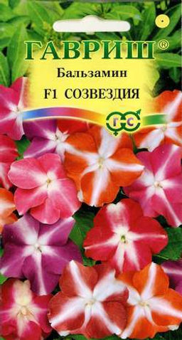 Бальзамин Созвездия Уоллера F1, смесь 4шт (г)