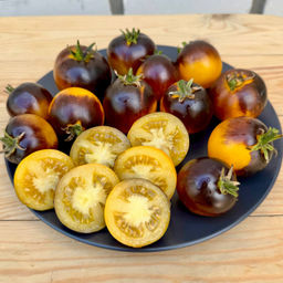 Гном Луна Гондваны НОВИНКА 2025 года!