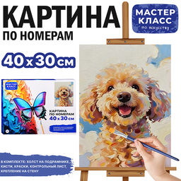 Картина по номерам MKR4030-148 "Красавец" 40х30 см.