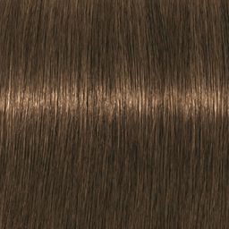 Igora Royal Absolutes, 60 мл. - Schwarzkopf professional фото 9