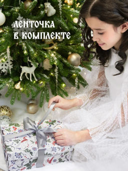 VAL RH-W-BC-GB-L Подарочная коробка 25*16,5*9 см., 1шт., white, RUSSIAN HISTORY, шт