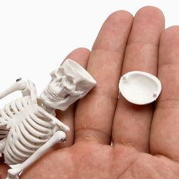 Анатомическая модель «Макет скелета взрослого человека», 22 см