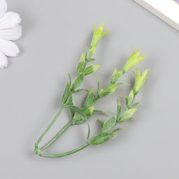 Искусственное растение для творчества «Гиппеастриум», набор 6 шт., светло-зелёный, 11 см