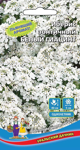 Иберис зонтичный БЕЛЫЙ ГИАЦИНТ