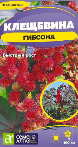 Цветы Клещевина Гибсона/Сем Алт/цп 3 шт.