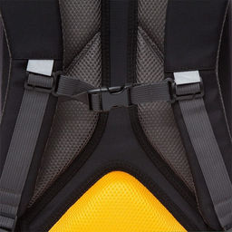 RB-156-2 Рюкзак школьный - Grizzly фото 26