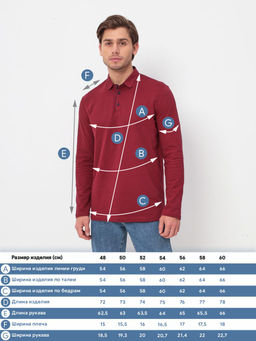 Джемпер мужской с воротником поло GREG G155-PO1246-CTR2085 (бордовый)  фото 7