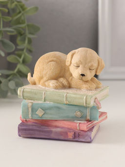 Фигурка полистоун «Щенок спит на книгах», 9×7×8.5 см