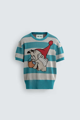 KNITTED T-SHIRT MR. SMEE PETER PAN HARRY LAMBERT FOR ZARA X DISNEY  фото 7