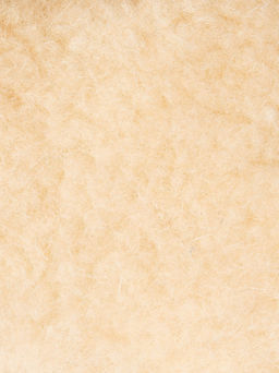 Ботинки - Belwest фото 7