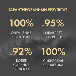 Шампунь против перхоти мощь марала, 250 мл Natura Siberica  фото 3