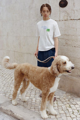 CAMISETA ESTAMPADO HELADO POLO / Blanco