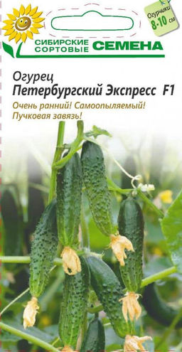 Петербургский Экспресс F1 огурец 5шт (ссс) Р парт