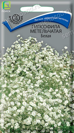 Гипсофила метельчатая Белая (ЦВ) (М) 0,2гр.