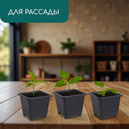 Цена за 20 шт. Горшок для рассады, 250 мл, 9×9×8 см, пластик, чёрный, Greengo