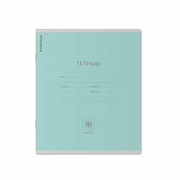 Цена за 200 шт. Тетрадь школьная ученическая ErichKrause Классика зеленая, 18 листов, клетка (в плёнке по 10 шт.)  фото 6