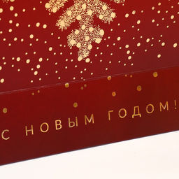 Пакет «Золотая снежинка», 31 х 40 х 11 см