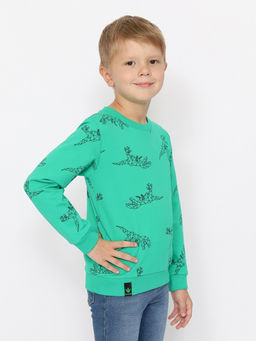 CRB wear/CWKB 63708-37-387 Джемпер для мальчика,зеленый/Ex.Cherubino