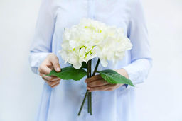 Букет из 3-х гортензий - Белый