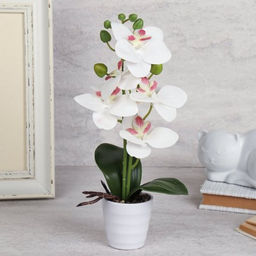 Цветочная композиция Орхидея 31 см / LM-797 /уп 72/ - Галеонтрейд фото 6