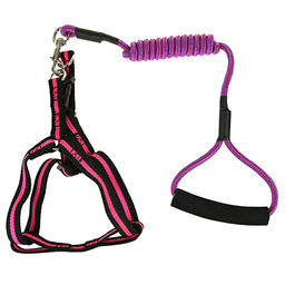 Поводок для собаки 130х0,5см со шлейкой, полиэстер Классический цвета микс (Китай) - Pet toys фото 5