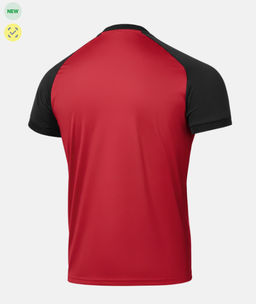 Футболка игровая Jogel CAMP Reglan Jersey (JFT-1021), красный R2  фото 4