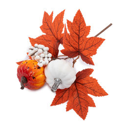 Blumentag VDJ-39 Веточка осенняя с ягодами и тыквами 25 х 3 х 1 шт. 01 фото 3