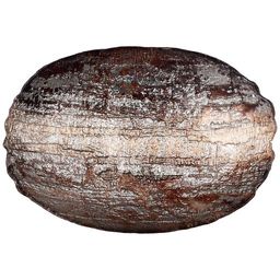 БЛЮДО ОВАЛЬНОЕ CROWN BROWN 30х20,5х5,5 СМ БЕЗ УПАКОВКИ