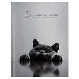 Записная книжка с алфавитной вырубкой арт. 74404 БРИТАНСКИЙ КОТ / 120x150 мм, 80 л., твёрдый переплё