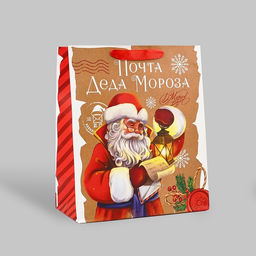 Пакет подарочный новогодний ламинированный Почта Деда Мороза, ML 23?27?11.5 см