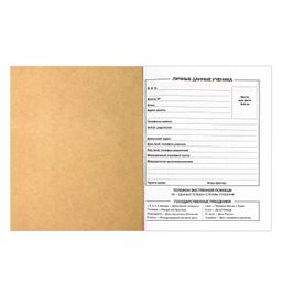 Дневник школьный арт. 60250 ЛЕТНЕЕ НАСТРОЕНИЕ - Феникс+ фото 3