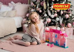 Кукольный домик София с набором мебели и автомобилем (14 элементов) (в пакете) - Полесье фото 12