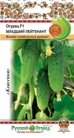 Огурец Младший Лейтенант F1 10шт. (НК)