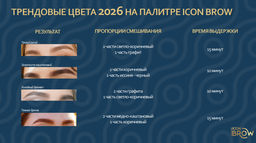 CONCEPT 6.77 Гель-краска для бровей и ресниц, тон Коричневый Icon Brow, 15 мл  фото 3