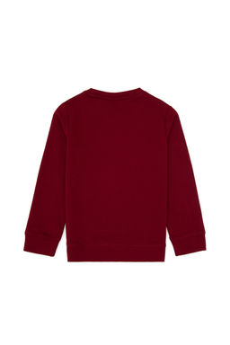 Erkek _ocuk Bordo Bisiklet Yaka Sweatshirt Sepette S_rpriz _ndirim - U.s. polo assn фото 9