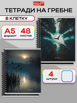 Тетрадь 48л. на спирали Prof-Press "Завораживающие пейзажи -2", клетка (48-8618)