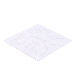 Набор для опытов Эпоха динозавров, скелет трицератопса - Эврики фото 4