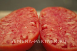 Томат Легенда Коктебеля - Партнер фото 6