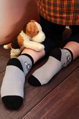 Носки детские Хаски (набор 3 пары)